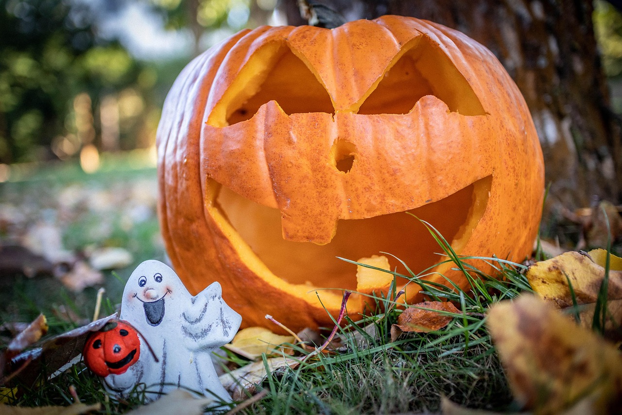 A Fun Survival Guide to Halloween 