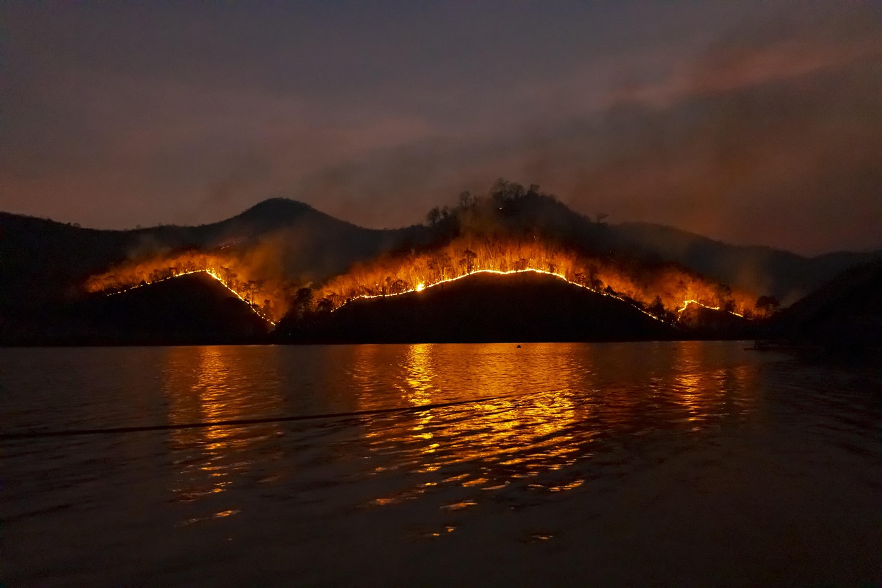  Wildfires in the UK and Europe - A Wake-Up Call for Climate Action 