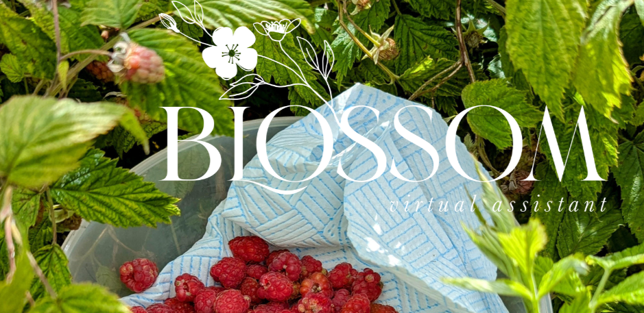 Wild Raspberries & Work-Life Balance - A Pleasant Detour